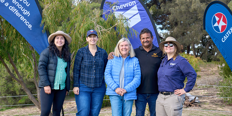urban shade forest team